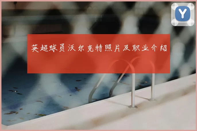 英超球员沃尔克特照片及职业介绍