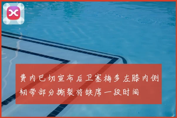 费内巴切宣布后卫塞梅多左膝内侧韧带部分撕裂将缺席一段时间