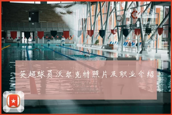 英超球员沃尔克特照片及职业介绍