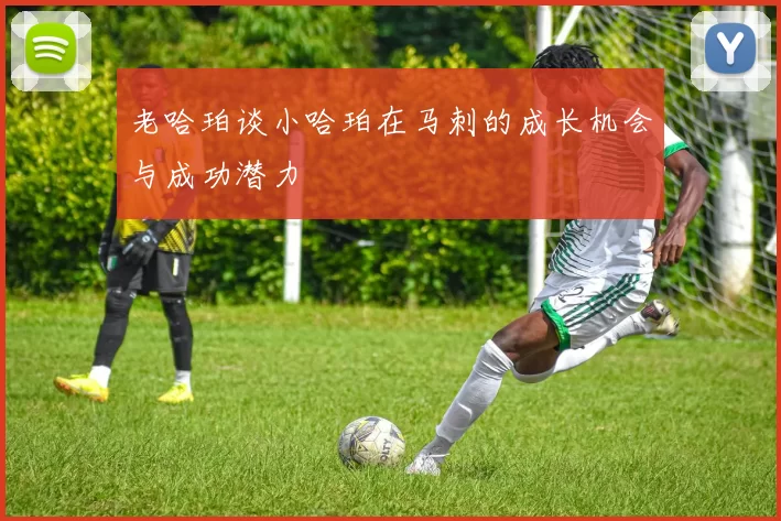 老哈珀谈小哈珀在马刺的成长机会与成功潜力