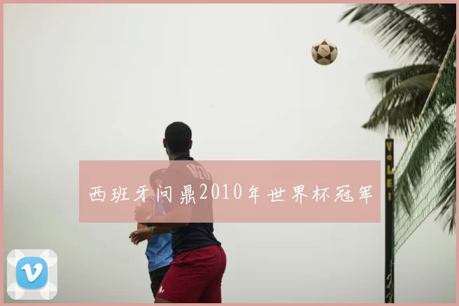 西班牙问鼎2010年世界杯冠军