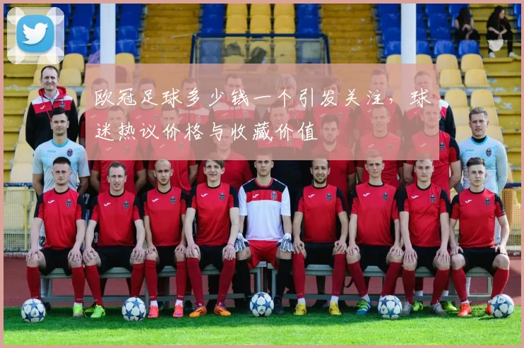 欧冠足球多少钱一个引发关注，球迷热议价格与收藏价值