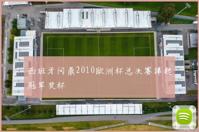 西班牙问鼎2010欧洲杯总决赛捧起冠军奖杯