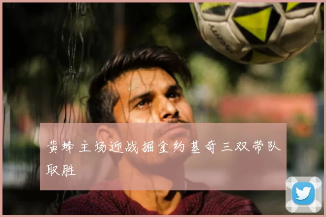 黄蜂主场迎战掘金约基奇三双带队取胜