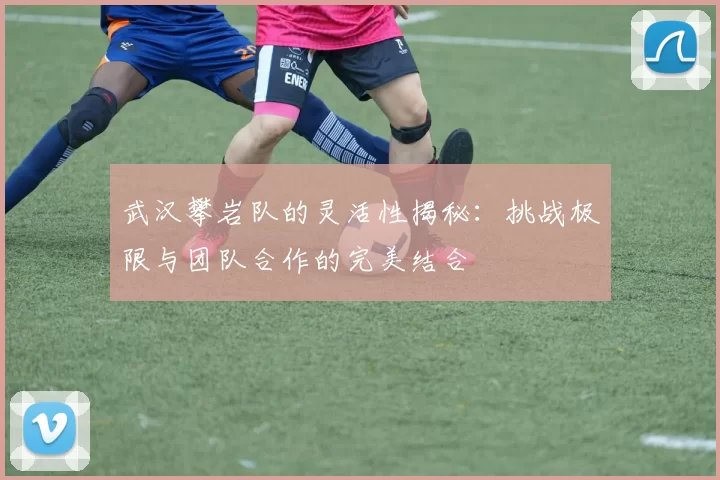 武汉攀岩队的灵活性揭秘：挑战极限与团队合作的完美结合