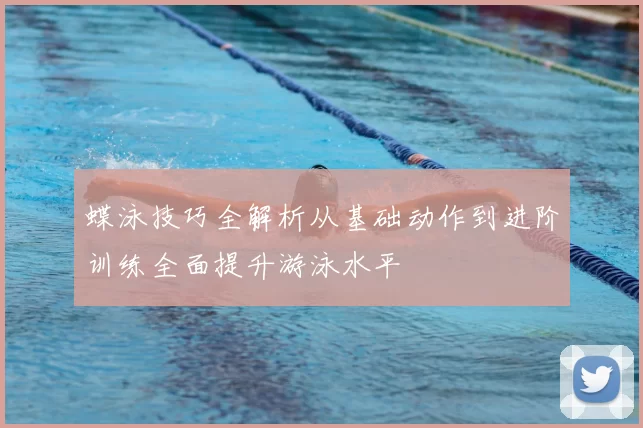 蝶泳技巧全解析从基础动作到进阶训练全面提升游泳水平