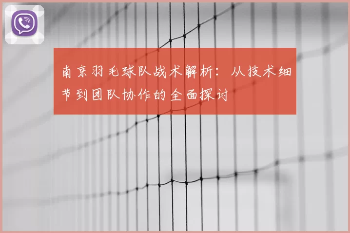 南京羽毛球队战术解析：从技术细节到团队协作的全面探讨