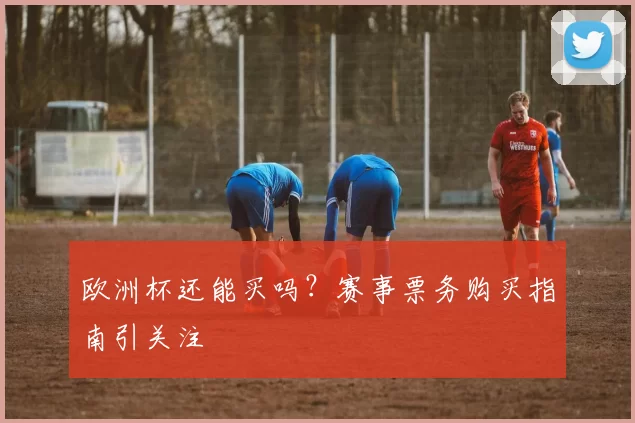 欧洲杯还能买吗?赛事票务购买指南引关注