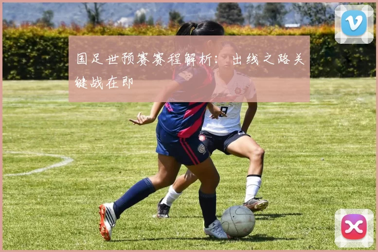 国足世预赛赛程解析：出线之路关键战在即