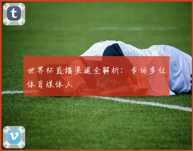 世界杯直播渠道全解析：专访多位体育媒体人