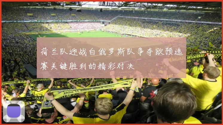 荷兰队迎战白俄罗斯队争夺欧预选赛关键胜利的精彩对决